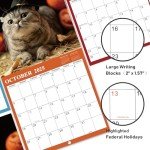 2025 Calendar - Wall Calendar 2025, Jan. 2025 - Dec. 2025, 12" x 24" (Open), 2025 Wall Calendar with Unruled Blocks - Cutie Cat