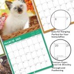 2025 Calendar - Wall Calendar 2025, Jan. 2025 - Dec. 2025, 12" x 24" (Open), 2025 Wall Calendar with Unruled Blocks - Cutie Cat