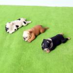 Realistic French Bulldog Figurines Solid Dog Model Figures Toys Christmas Birthday Gift Party Decoration for Kids Toddlers