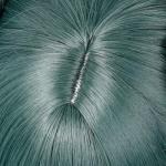 Probeauty Maomao Cosplay Wig, Long Dark Green Wigs with Buns for Anime Costume Halloween Party