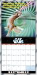 Cat Wars 2026 Wall Calendar, 12-Month Funny Cat Humor & Pop Culture Parody Calendar with Comics and Space Cat Art, 12" × 12"