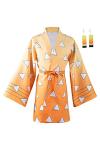 Haydory Womens Anime Cloak Cosplay Costume Kimono Cape Robe Halloween Suit Adult