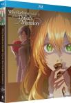 Why Raeliana Ended Up At The Duke's Mansion - The Complete Series - Blu-ray