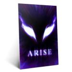 Displate Metal Poster Solo Leveling - Arise - Eyes of The Abyss - Metal Sign Anime Canvas Print - Collectible Gift - Premium Wall Decorations Room Decor Gifts Movie Posters - 12.6x17.7 in