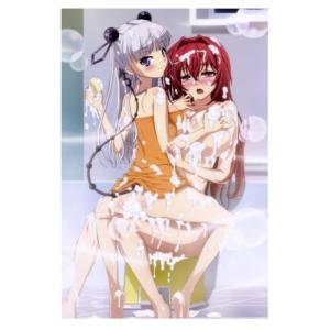Glitter Glo The Testament Of Sister New Devil Mio & Maria Anime Poster Sexy Ecchi Wall Art 18x24 Poster