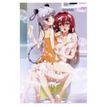 Glitter Glo The Testament Of Sister New Devil Mio & Maria Anime Poster Sexy Ecchi Wall Art 18x24 Poster