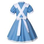 Wannsee Japanese Anime 6Pcs Lolita French Maid Apron Fancy Dress Cosplay Costume Gloves Headwear Socks set(Blue S)