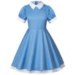 Wannsee Japanese Anime 6Pcs Lolita French Maid Apron Fancy Dress Cosplay Costume Gloves Headwear Socks set(Blue S)