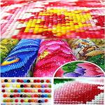 HONGJIE DIY 5D Diamond Art Painting Kit, Anime 20X16 inches Round Full Drill Crystal Rhinestone Embroidery Cross Stitch Arts Craft for Home Wall Decor