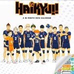 Deluxe Haikyu Wall Calendar 2025 with Stickers