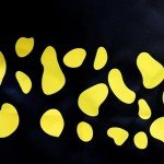 Anime Surgeon Uniform Cosplay Cloak and Hat