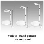 Ddung Doll Clear 3-Pack Stand for Action Figures