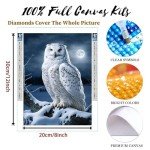 TLTZC Adult Diamond Painting Kits Anime Sexy Witch - Full Diamond Canvas DIY Art Painting Stress Relief Crafts for Family Interactive Room Decor Bathroom Decor 18X25 inch