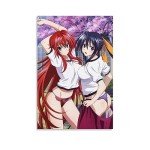 Japan Anime Posoters High School DxD Sexy Poster Bedroom Bathroom Decor (3) Wall Art Paintings Canvas Wall Decor Home Decor Living Room Decor Aesthetic 12x18inch(30x45cm) Unframe-style-8