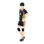 QAHEART 2pcs Tobio Kageyama and Shoyo Figure Statue, 1/7 Scale Japanese Volleyball Anime Action Figure Sculpture Model Desktop Figure Decoration Handmade Collectible