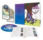 [Amazon. Co. JP Limited] TV Anime "ritoruuxittiakademia" Vol. 8 DVD (first production Limited Edition) (trunk-like Bonus "Drawing Canvas Art (kyarafain Print) Size: F4 (Old City of Acre, Lotte, su-sixi )」&「 Reprint syarioka-do Storage File" Delivery with Serial Code)