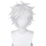 COSPLAZA Cosplay Wig Short Silver White Fluffy male anime show Halloween party Hair Wigs