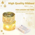 Monaeco 100 LED Fairy Lights – 32.8ft String