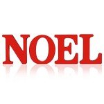 Rustic Wooden Noel Centerpiece for Christmas Decor