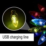 Colorful USB Festival Lights for Any Occasion