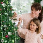 24-Piece Crystal Christmas Ornament Set