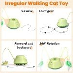 Interactive USB Rechargeable Cat Toys with LED Lights