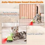 Interactive USB Rechargeable Cat Toys with LED Lights