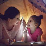 6-Piece Interactive Cat and Dog Toy Set