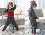 Toddler Boys Dinosaur Hoodie and Pants Set