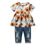 Toddler Girls Floral Top and Pants Set 2-3T