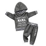 Toddler Boys Long Sleeve Hoodie and Pants Set