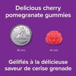 Webber Naturals Vegan Biotin Gummies for Hair & Skin