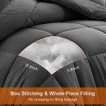 Queen Comforter Set - All Season Soft & Cozy