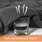 Queen Comforter Set - All Season Soft & Cozy