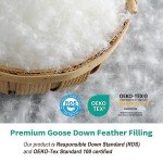 Ultra Soft Queen Goose Down Comforter