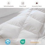 Ultra Soft Queen Goose Down Comforter