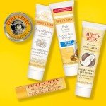 Burt's Bees Essential Travel Size Care Kit
