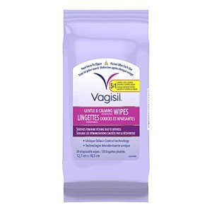 Vagisil Anti-Itch Feminine Wipes, 20 Count