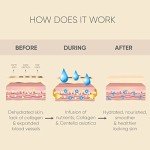 Celor Under Eye Patches for Dark Circles