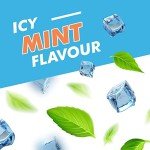 TheraBreath Icy Mint Oral Rinse - Fresh Breath
