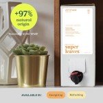 Plant-Based Liquid Hand Soap Refill – Orange Leaves