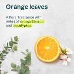 Plant-Based Liquid Hand Soap Refill – Orange Leaves