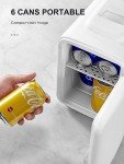 Reemix 3.7L Portable Cooler and Warmer Mini Fridge
