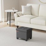 SONGMICS Storage Ottoman, Bedroom Bench with Storage, Foot Stool, 12.6 x 15.8 x 13.2 Inches, Ink Black ULSF012B01