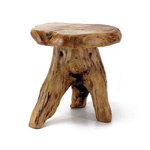 Natural Edge Tree Stump Stool and Side Table