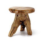 Natural Edge Tree Stump Stool and Side Table