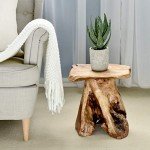 Natural Edge Tree Stump Stool and Side Table