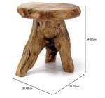 Natural Edge Tree Stump Stool and Side Table