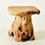 Natural Edge Tree Stump Stool and Side Table