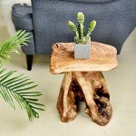 Natural Edge Tree Stump Stool and Side Table